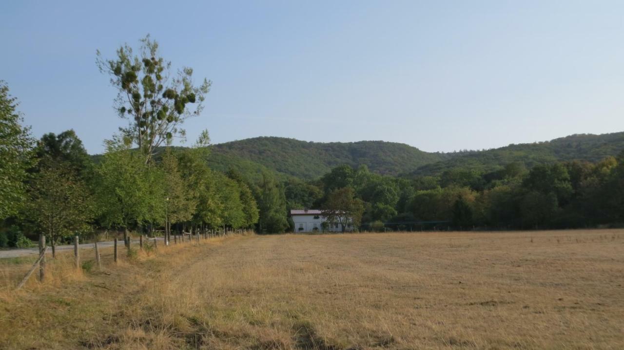 Ferienwohnung Wolfsholz 베르니게로데 외부 사진